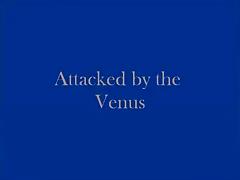 Attacked by the Venus