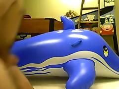 mating inflatable blue whale 2