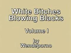 White Whores Blowing Blacks Vol I.avi