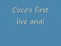Non-Professional wife coco first live anal