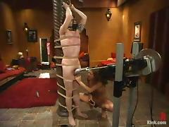 all, Ass, BDSM, Bondage, Bound, Dominatrix